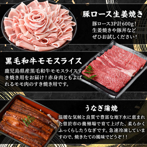 ＜定期便・全8回(連続)＞毎月違うお品をお届け！お楽しみ定期便(合計4.8kg以上) 牛肉 豚肉【ナンチク・西日本養鰻】 T48