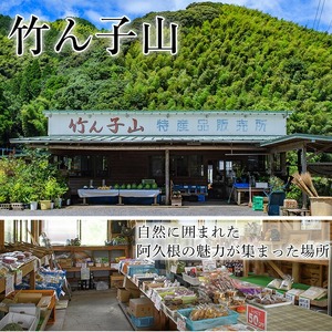 ＜先行予約受付中！2026年9月下旬以降順次発送予定＞数量限定！竹ん子山の早生みかん(約5kg) 国産 鹿児島県産 阿久根産 ミカン 蜜柑 みかん 柑橘 果物 フルーツ 温州みかん 早生みかん 果実 期間限定 【竹ん子山】akn097-02