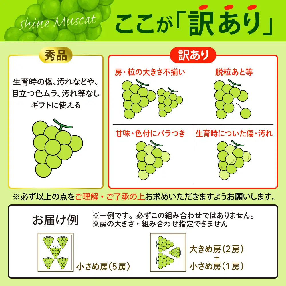 ぶどう シャインマスカット 1.8kg 3-5房 訳あり 令和8年産 ぶどう