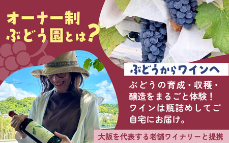 ”農作業体験型” オーナー制ぶどう園 OKUNARY 2026年度 年間オーナー権｜ワイン オーナー 体験 ぶどう栽培 大阪 自然 農業  社会課題 農作業 醸造 支援 経験 