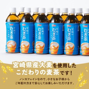 サンA 宮崎のむぎ茶 500ml PET 18本入り×2ケース【 お茶 麦茶 宮崎県産 ペットボトル 】