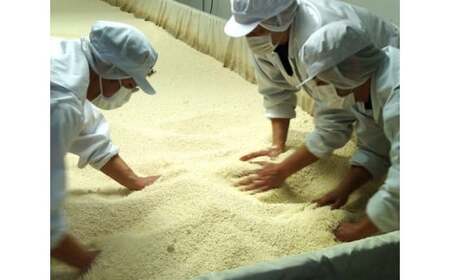 醗酵調味料 味の母 500ml ×12本 | みりんの旨み 調味料