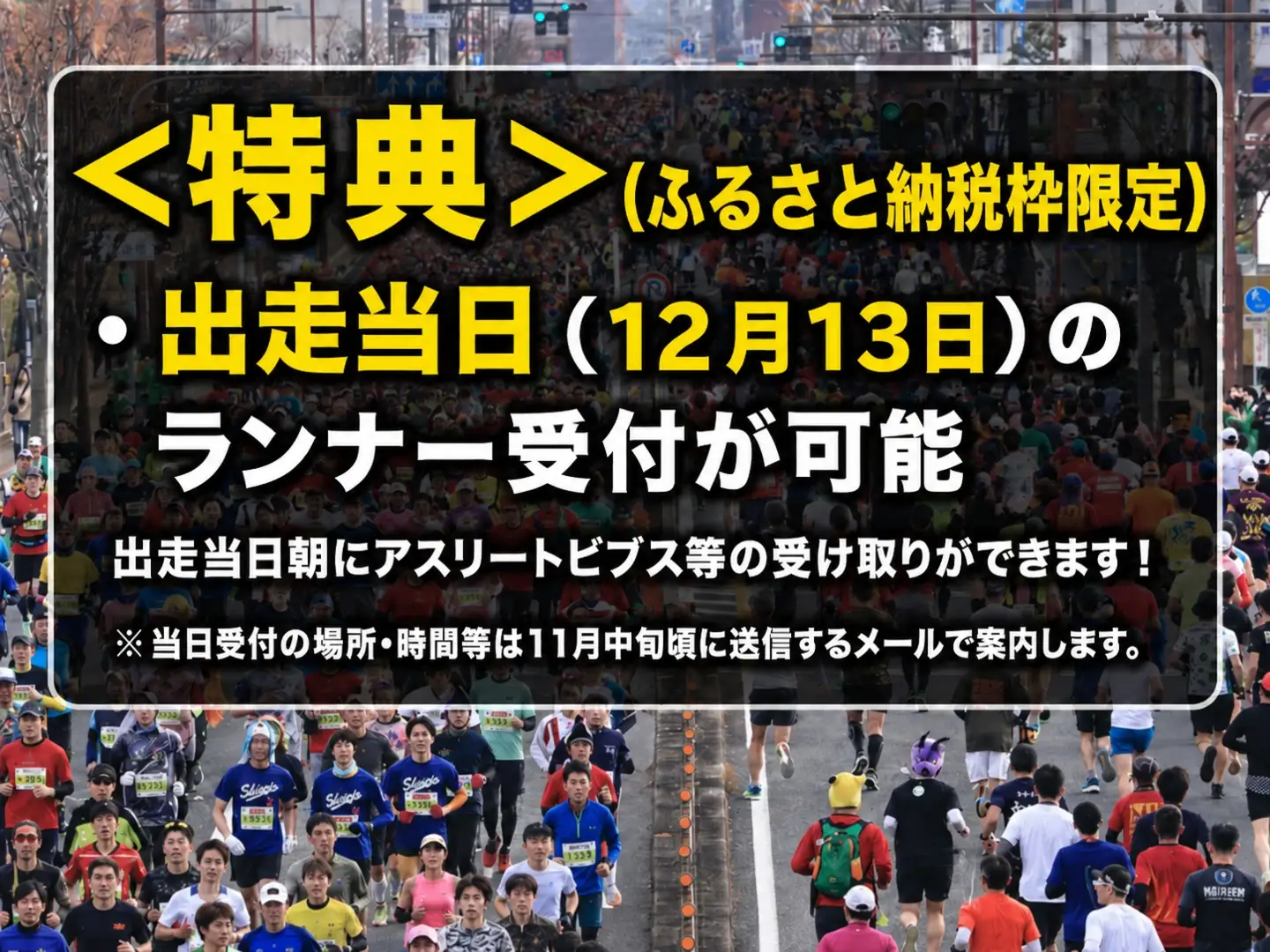 奈良マラソン2026出走権（マラソン種目）1人分
