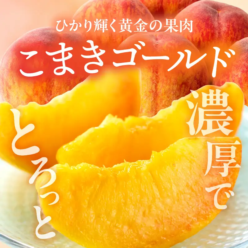 こまきゴールド（期間限定・数量限定）黄桃  新種黄桃 希少黄桃 早生黄桃 大玉黄桃[011O02]