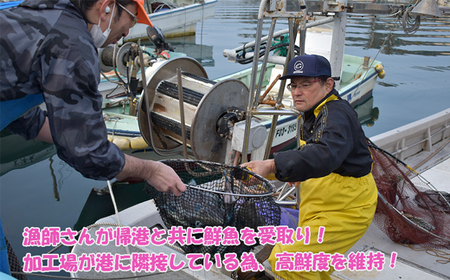 【肝醤油】お刺身のつけだれに！濃厚なウマヅラハギの肝醤油（肝10g×6P）★魚屋おすすめの特製たれに溶かして！[H0156]