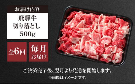 《定期便》6回 訳あり 飛騨牛 切り落とし 500g 飛騨高山ミート 飛騨牛 [MZ111]