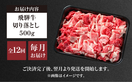 《定期便》 12回 訳あり 飛騨牛 切り落とし 500g 飛騨高山ミート 飛騨牛 [MZ112]