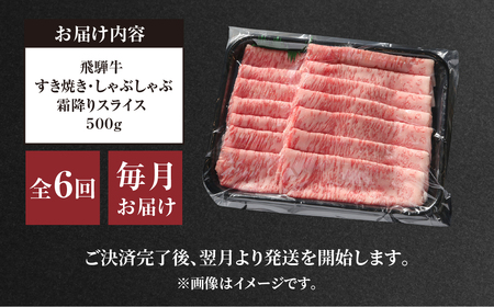 《定期便》 6回 霜降りスライス 500g 肉 飛騨牛 飛騨高山ミート 肉 [MZ114]