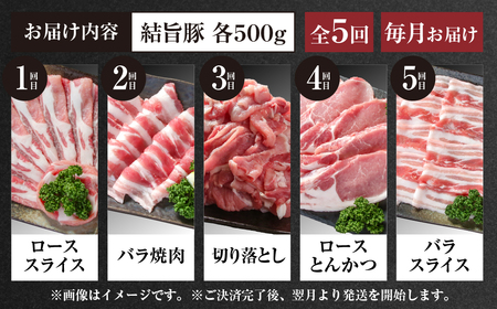 《定期便》全5回 結旨豚（焼肉・しゃぶしゃぶ・切り落とし）500g×5か月 冷凍真空パック | 肉 お肉 豚肉 国産 食べ比べ セット 白川郷 岐阜県 白川村 ブランド豚 人気 おすすめ ギフト 飛騨高山ミート 40000円 [MS101]