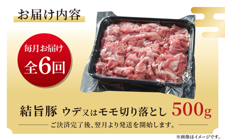 《定期便》全6回 結旨豚 ウデ又はモモ 切り落とし 500g 冷凍真空パック | 肉 お肉 豚肉 国産 食べ比べ セット 白川郷 岐阜県 白川村 ブランド豚 人気 おすすめ ギフト 飛騨高山ミート 36000円 [MS103]