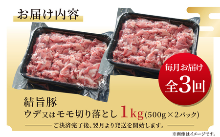 《定期便》全3回 結旨豚 ウデ又はモモ 切り落とし 500g×2パック 冷凍真空パック | 肉 お肉 豚肉 国産 食べ比べ セット 白川郷 岐阜県 白川村 ブランド豚 人気 おすすめ ギフト 飛騨高山ミート 30000円 [MS104]