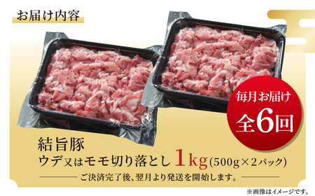《定期便》全6回 結旨豚 ウデ又はモモ 切り落とし 500g×2パック 冷凍真空パック | 肉 お肉 豚肉 国産 食べ比べ セット 白川郷 岐阜県 白川村 ブランド豚 人気 おすすめ ギフト 飛騨高山ミート 60000円 [MS105]