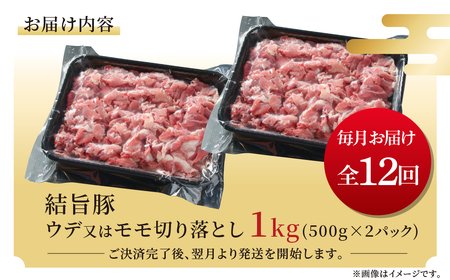 《定期便》全12回 結旨豚 ウデ又はモモ 切り落とし 500g×2パック 冷凍真空パック | 肉 お肉 豚肉 国産 食べ比べ セット 白川郷 岐阜県 白川村 ブランド豚 人気 おすすめ ギフト 飛騨高山ミート 120000円  [MS106]
