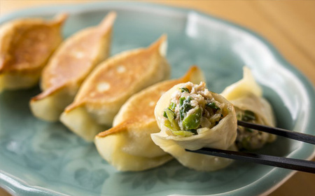 6回 定期便  手作り 焼き餃子  ( 冷凍 )  20個 【 手作り餃子の店 吉春 】 |  冷凍餃子 地元野菜 ・ 国産素材 を使用 