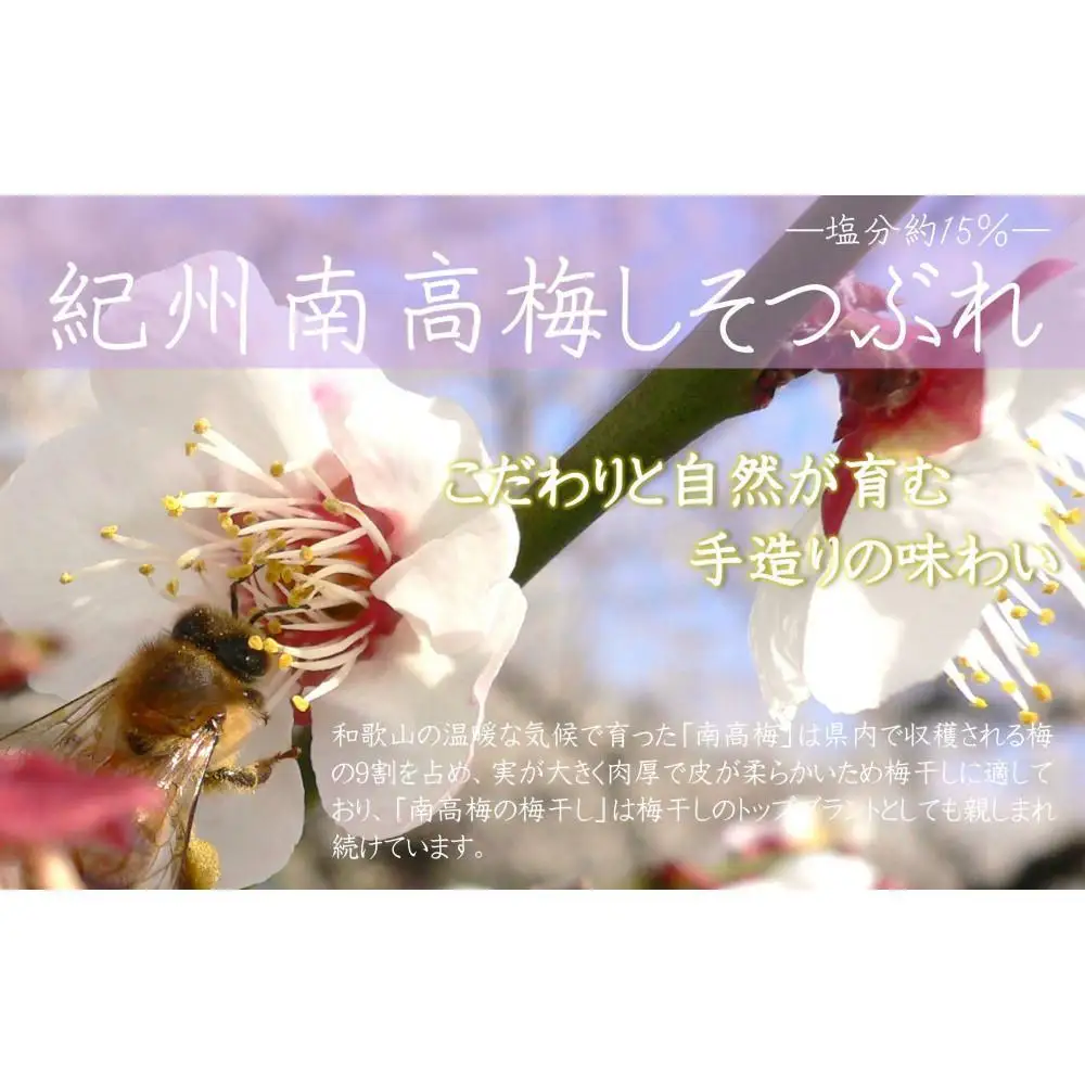 ご家庭用 大容量 紀州南高梅 しそ漬 つぶれ 塩分約15％ 700g×2 ［YM16］