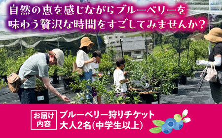 ブルーベリーファーム瑞浪 ブルーベリー狩り 90分 大人(中学生以上) 2名様分 チケット[AZCX001]