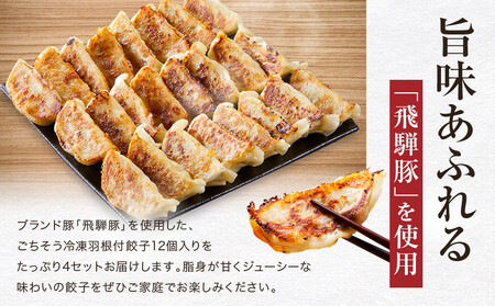 飛騨豚餃子12個入り×4セット（簡易包装） おいしい焼き方説明書付き NL005|高山市 餃子