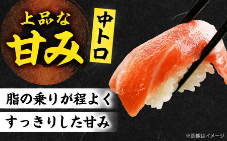 【全6回定期便】たね熟天然本まぐろ赤身＆中トロセット(320g 各160g)[AOCE041]マグロ