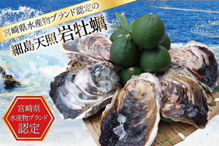 牡蠣 細島天照岩牡蠣 2kg 殻付き 【期間限定発送】[一福丸 宮崎県 日向市 452061387]
