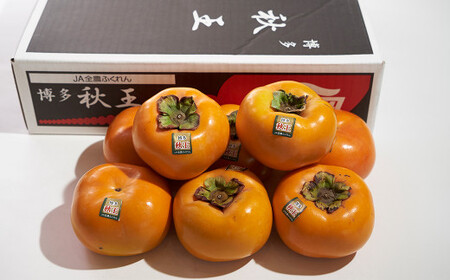  福岡県産 ブランド柿 秋王 約3kg （8-12玉） かき 柿 フルーツ 果物 国産【2026年10月下旬～11月下旬発送予定】