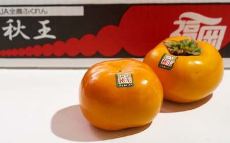 福岡県産 ブランド柿 秋王 約1.5kg (4-6玉) 柿 かき 果物 フルーツ 国産【2026年10月下旬～11月下旬発送予定】