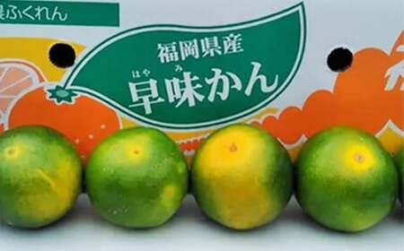 福岡県産 極早生みかん 早味かん 約4kg みかん ミカン フルーツ 果物 国産【2026年9月上旬～9月下旬発送予定】