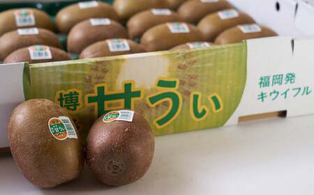 福岡県産 ブランドキウイ 甘うぃ 約1.5kg （12-15玉）キウイ キウイフルーツ フルーツ 果物 国産【2026年10月下旬～12月上旬発送予定】