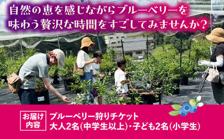 ブルーベリーファーム瑞浪 ブルーベリー狩り 90分 大人(中学生以上)2名様 ・ 子ども(小学生)2名様 チケット[AZCX003]