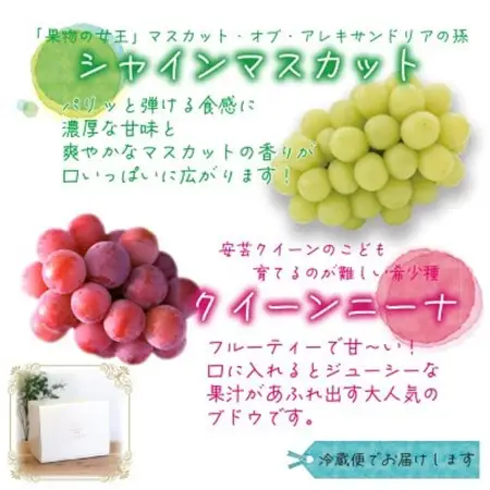 岡山　花笑み農園の『クイーンニーナ＆シャインマスカット』1kg(2房)QS-1【配送不可地域：離島・北海道・沖縄県】【1627772】