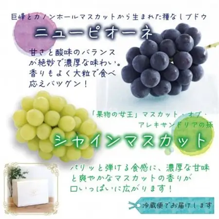 岡山　花笑み農園の『ニューピオーネ＆シャインマスカット』1kg(2房)PS-1【配送不可地域：離島・北海道・沖縄県】【1627783】
