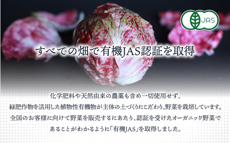 有機JAS認証 旬の野菜セット 8品【ぶたちゃんの畑】_HA1708