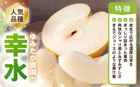 【先行予約】 幸水梨 1箱 5kg入り (8～12玉) 【2026年8月中旬以降順次発送予定】 梨 なし [A-16208]