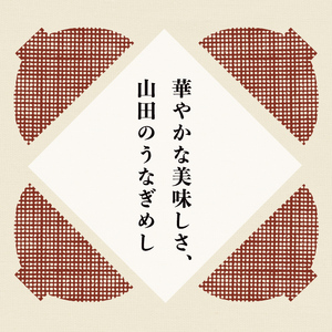 鹿児島県産うなぎ使用！山田のうなぎめし1箱(6食入) うなぎ 鰻 国産 鹿児島 蒲焼き かばやき タレ ご飯 おこわ うなぎめし a3-237