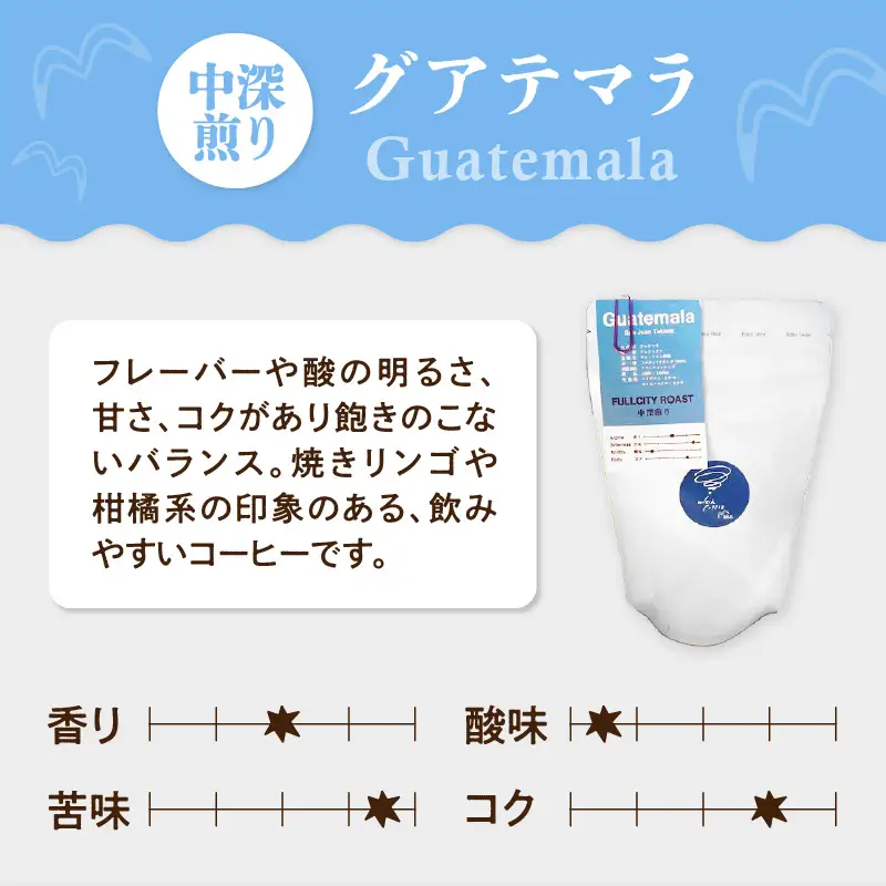 スペシャルティコーヒー コーヒー豆100g×3袋入り ギフトセット I04009