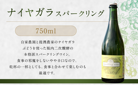 「ナイヤガラ・スパークリング」フルボトル（750ml×2本）計1500ml セット ぶどう ワイン スパークリングワイン 酒 葡萄 テーブルワイン 北海道産