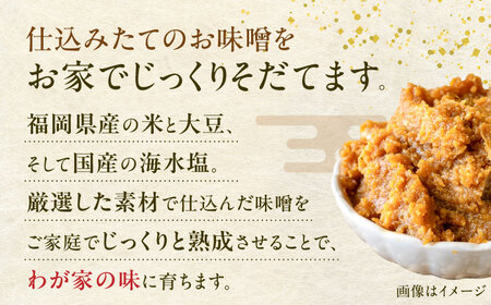 育てる味噌 5kg [VAV019] みそ 米味噌 キット