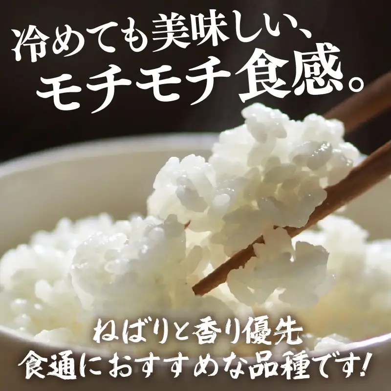 【令和7年産】化学肥料不使用 特別栽培米 ミルキープリンセス 精米 10kg × 1袋 / 白米 米 福井県あわら市産 美味しい 特別栽培米 減農薬 安心な米 旨味 甘み もっちり 冷蔵保管米 [aw010-b019]
