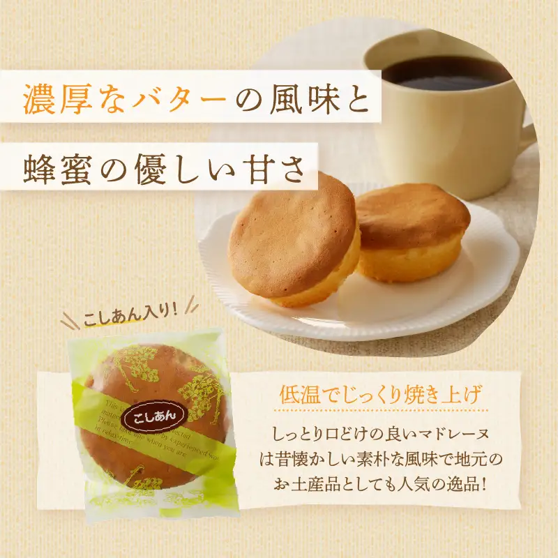 【2週間以内発送】老舗菓子舗のマドレーヌ(こしあん入り)・カステラセット「合計6個・個包装」 焼き菓子 スイーツ 詰め合わせ 洋菓子_T035-0215