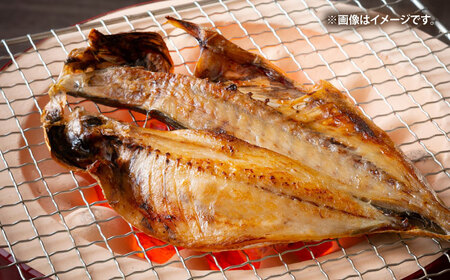 壱岐の海の幸 干物セット《壱岐市》【壱岐市農業協同組合】あじ アジ 鯵 かます カマス いか イカ 烏賊 干物 ひもの 干物セット 冷凍配送[JBO153]