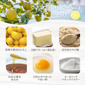 お菓子　レモンケーキ50個（バラ） ギフト 個包装 スイーツ ケーキ  焼き菓子