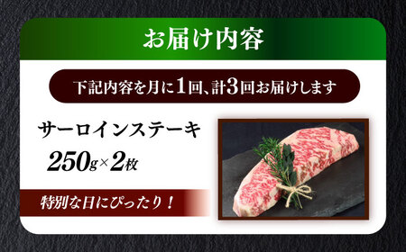 【全3回定期便】国産 博多和牛 A5ランク サーロイン ステーキ 250g×2枚 雌 ステーキ 和牛 肉 BBQ [ABEN014]