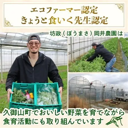 【毎月定期便】【訳あり】季節の野菜セット4～6品　京都府久御山町産全6回【配送不可地域：離島】【4068241】