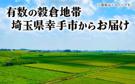 令和7年幸手産 こしひかり【精米】5㎏×1袋 - コシヒカリ 精米 5kg 令和7年産 埼玉県 幸手市 幸手市産