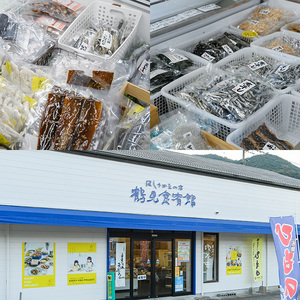 ＜訳あり＞干物 バラエティセット(8種) 魚 海鮮 開き 干物 焼き魚 あつめし ぶり ブリ あじ アジ かます カマス きびなご キビナゴ さば サバ 鯖 冷凍 詰め合わせ セット 【opad001】【鶴見食賓館】