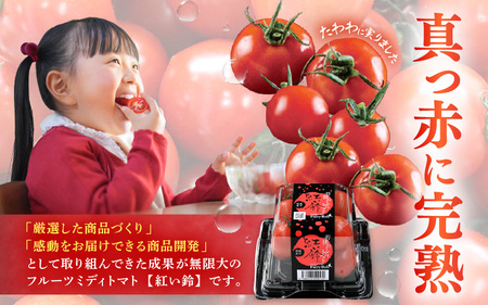 定期便 ≪3ヶ月連続お届け≫ フルーツミディトマト 約1kg × 3回 トマト 野菜 [m37-a027]