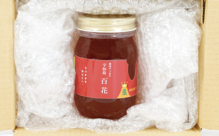 国産蜂蜜 500g みつばち屋嵐 国産蜂蜜 F010-129002
