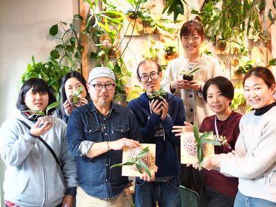 ビカクシダ Mサイズ 【3月～11月発送】 232-002 ふるさと納税 ヒガクシダ 植物 観葉植物 インテリア
