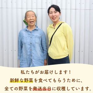 野菜セット 6~7品目 以上 野菜セット