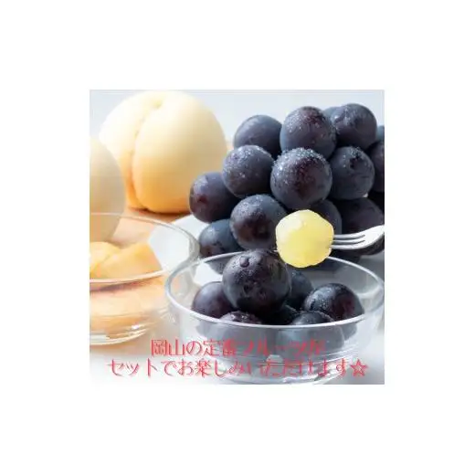 詰合せ 白桃 晩生種 2玉 ニューピオーネ 1房 合計約1.0kg 岡山県産 【先行予約 2026年8月下旬から順次発送】
