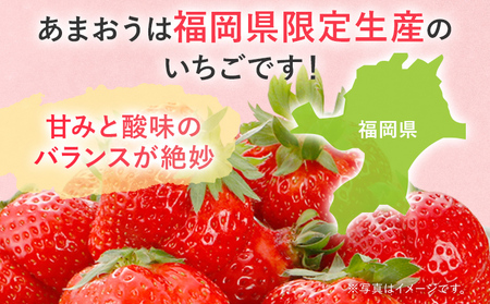 【2027年発送先行予約】厳選大粒あまおう(約250～270g×2パック) いちご フルーツ 果物 あまおう 苺 イチゴ ギフト 大粒 福岡【発送時期2027年2月上旬～2027年4月中旬】